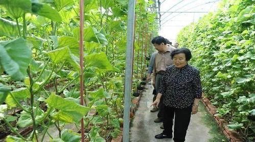 海南吃瓜爆料事件是真的吗,真相揭秘还是网络谣言？