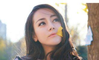 明星网红来弥勒,共绘美好未来画卷