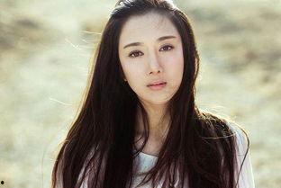 沈阳的明星网红,沈阳网红明星风采掠影