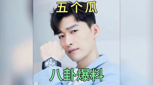 娱乐爆料吃瓜八卦图,吃瓜图鉴，揭秘明星幕后故事