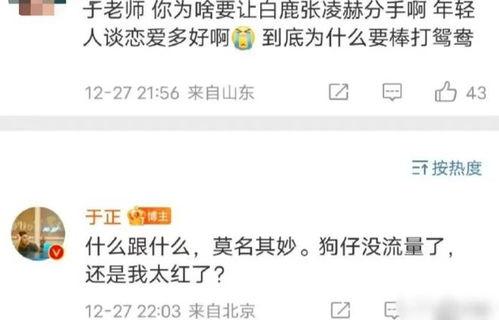 吃瓜爆料张凌赫视频下载,吃瓜爆料背后的真相