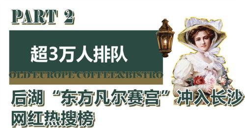 明星网红打卡基地,明星同款基地探秘之旅