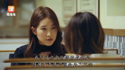 娱乐圈吃瓜系统小说,瓜田里的明星秘闻