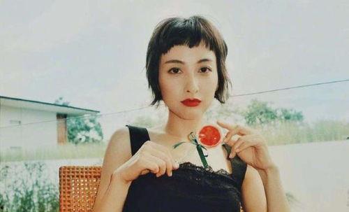 明星网红暴力熊,网络红人的力量与争议