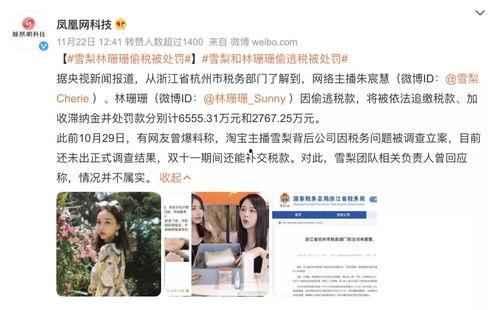 明星网红逃税看法,法律与道德的双重拷问