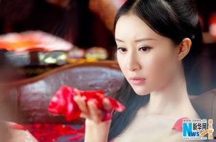 女团明星网红排名,2023年度女团明星网红影响力排行榜揭晓